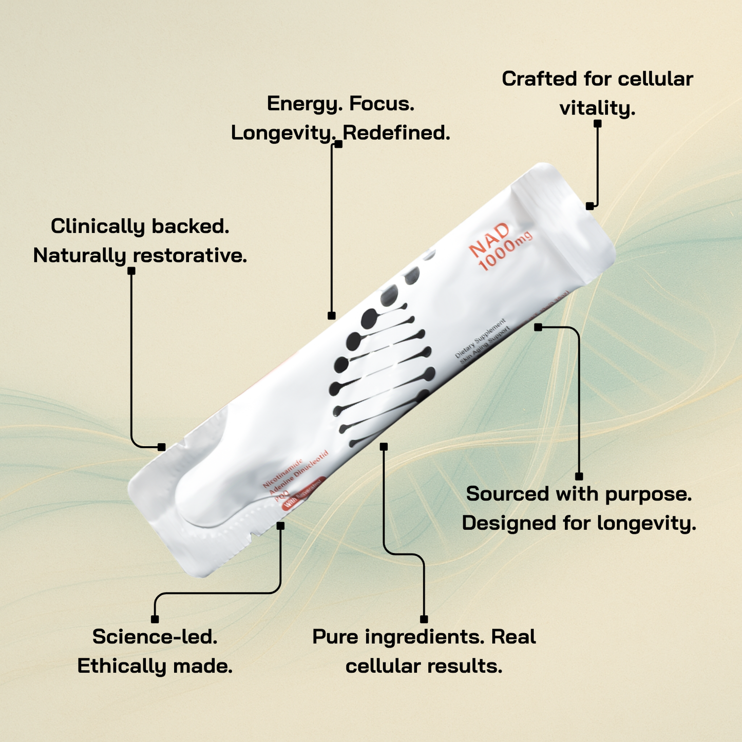 NuVivant NAD⁺ Intracellular Support Supplement (1000 mg)