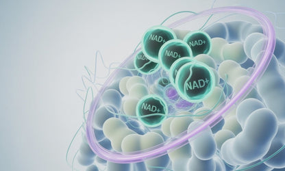 Intracellular NAD® Plan per month