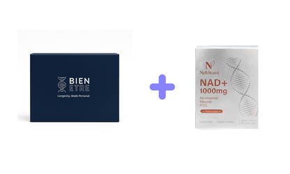 NAD⁺ Intracellular Optimisation Plan